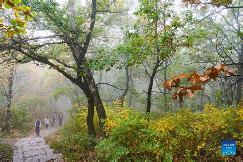  백화산 산악 전경과 신비로운 석굴을 경험하세요!