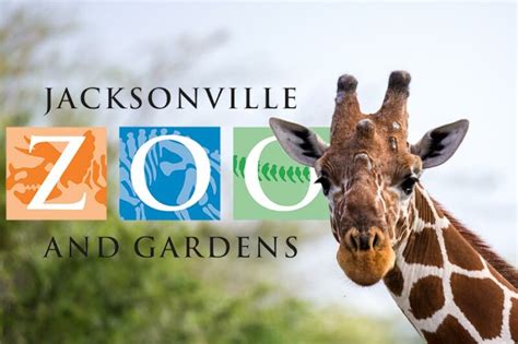 Jacksonville Zoo and Gardens: 신나는 동물 만남과 아름다운 자연 풍경을 경험하세요!