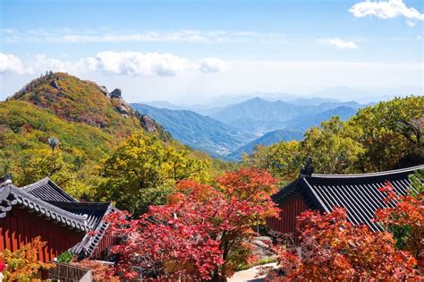 지리산 국립공원: 아름다운 자연과 숨겨진 보석을 찾아서!