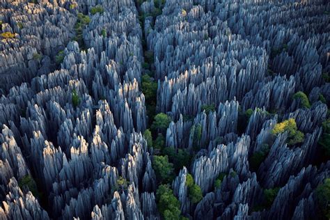 Stone Forest  신비로운 석재와 아름다운 자연의 조화!